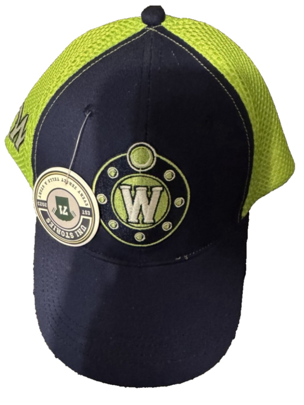 Worcester Railers Worcester Bravehearts Night Vintage OSFA Hat Blue ECHL Hockey